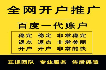 某品牌SEM广告投放的全程记录与效果分析