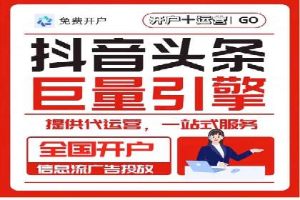 案例研究：信息流广告投放优化